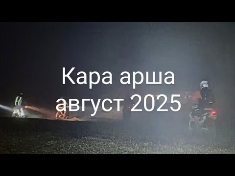 Видео: Кара арша с Pro_enduro_kz. Август 2025