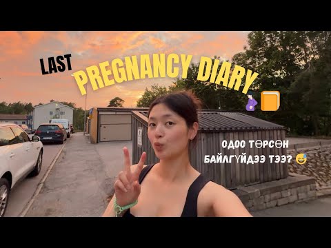 Видео: Daily vlog | Төрөхөөс өмнөх сүүлчийн влог 🤰🏻( гэж найдъя😛) 