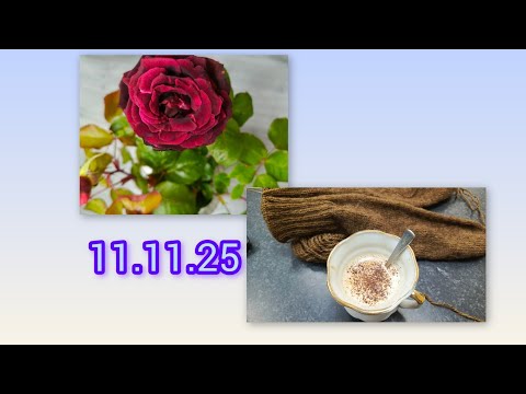 Видео: Утро со спицами. 11 11.25