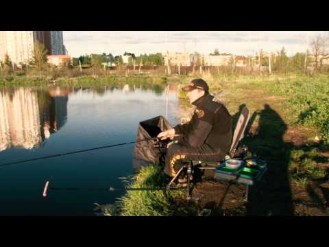 Видео: "Прудовой мудрец"! Карась на фидер.