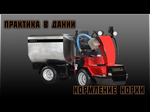 Видео: Практика в Дании,Кормление норки .