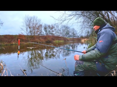 Видео: ПОПЛАВОК в кінці Осені. Риба ще Ловиться !!! р.Горинь . Сезон 2024