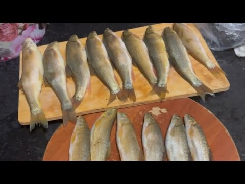 Видео: Мартнка Дахшат ов Булди 4 декабря 2024 г.