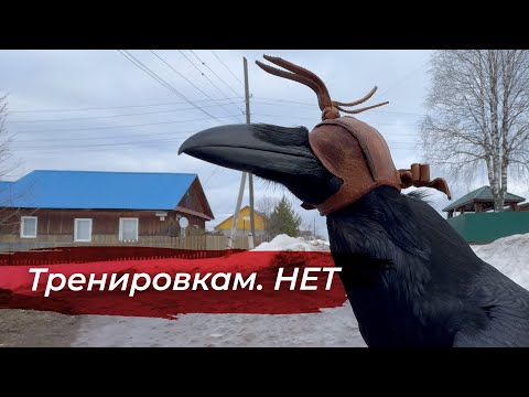 Видео: Прогулка с Гошей и бегство с тренировки! Едим праздничный торт