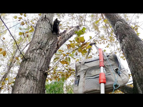 Видео: Сначала он нас обманул, а потом мы его.