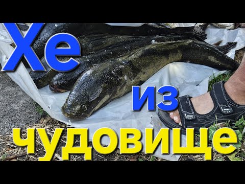 Видео: ХЕ из змейголова