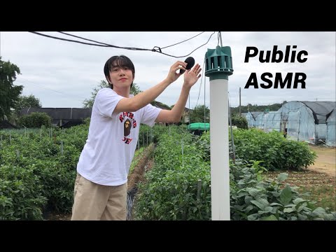 Видео: ASMR приро́да (Public ASMR)