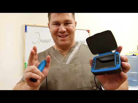 Видео: Эхолот и как его понимать.Разбираемся, просто о сложном на примере Calypso FFS-01.