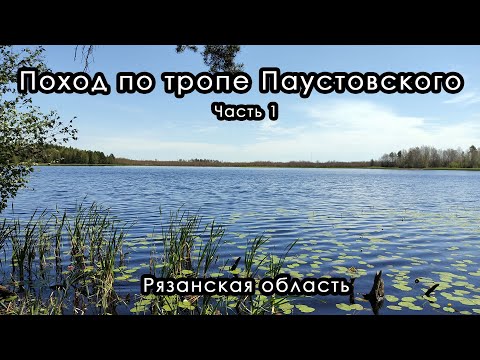 Видео: Поход по тропе Паустовского. Рязанская область. Июнь 2023. Часть 1.