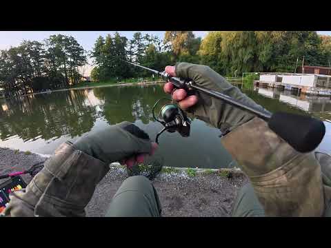 Видео: Ловля форели на спиннинг. Мисайлово Trout. Безлимит. 28.07.2025