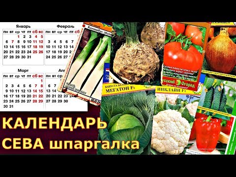 Видео: Посеять ВОВРЕМЯ - получить БОЛЬШОЙ урожай!