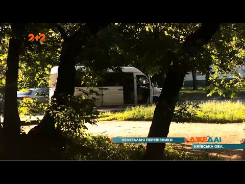 Видео: В Броварах продолжают работать нелегальные перевозчики