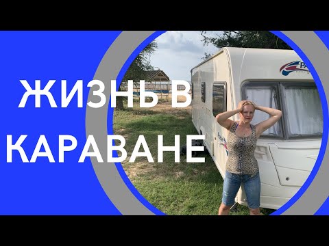 Видео: Жизнь в Караване