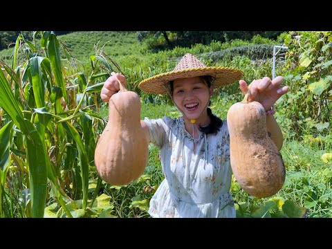 Видео: Желтая тыква, тыквенная каша, тыквенные булочки, тыквенный пир