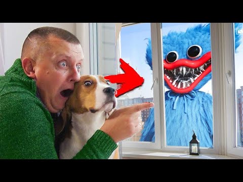 Видео: ШЕРЛОК ПРОТИВ ХАГИ ВАГИ. POPPY PLAYTIME. BROS SHOW PET