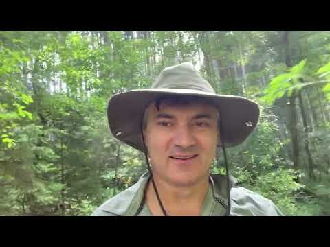 Видео: О ценах на мёд и вообще !!!