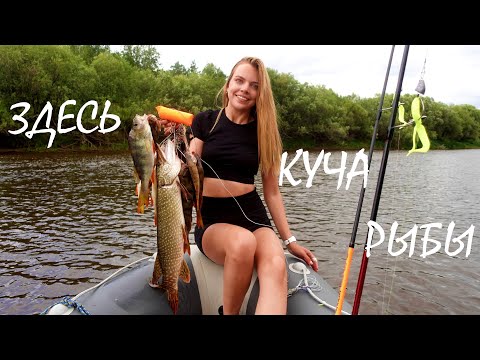 Видео: РЫБНЫЕ ВЫХОДНЫЕ!  Рыбачу в диких местах на спиннинг. Щука, окунь, язь - все оказались на крючке!