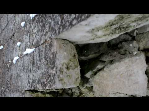 Видео: Потоп был, расходимся! Старица меня удивила!