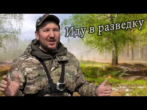 Видео: Коп в весеннем лесу. Иду в разведку. Кладоискатель Руся.