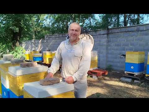Видео: Швидко та ефективно обробляємо від кліща!