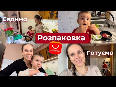 Видео: Розпаковка Aliexpress | Порядок в дитячих іграшках | Посадили цибулю вдома 🪴