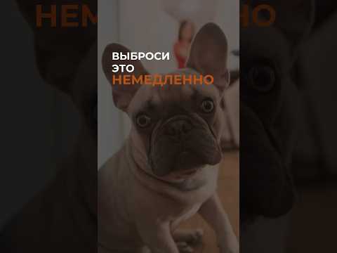 Видео: Жалко расставаться с вещами? #расхламление #организацияпространства #порядоквдоме #порядоквшкафу