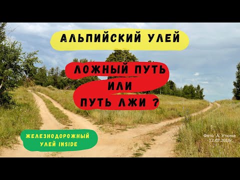 Видео: Альпийский улей, как жеж так, чтож такое