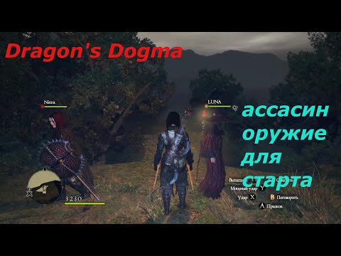 Видео: Dragon's Dogma. Ассасин. Оружие для старта.