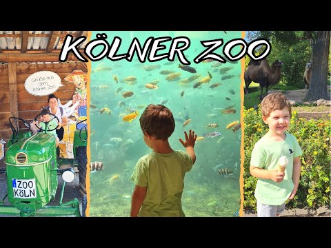 Видео: ПЪРВА СРЕЩА С ЛЮБИМИТЕ ДИВИ ЖИВОТНИ В КЬОЛНСКИЯ ЗООПАРК / DAY AT THE COLOGNE ZOO / KÖLNER ZOO / DITL