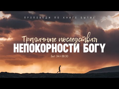 Видео: Бытие: 57. Трагичные последствия непокорности Богу (Алексей Коломийцев)