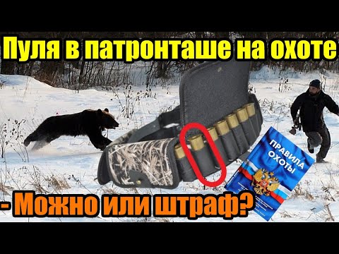 Видео: Можно ли носить пули в патронташе на охоте на пернатую дичь? Официальный ответ!
