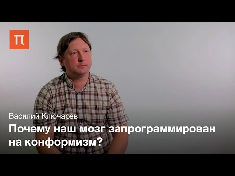Видео: Нейробиология социального влияния - Василий Ключарев