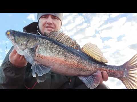 Видео: Major Craft Ceana 722x 10-84 обзор