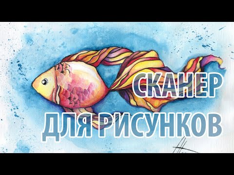 Видео: Выбираем сканер. Как выбрать сканер для рисунков. Сравнение сканеров с датчиками CCD и CIS.