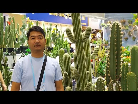 Видео: Бау бақша- Израильда емес, бұл- Қазақстанда🌳