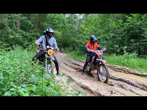 Видео: 🔥ЗАГНАЛИ ПИТ и АЛЬФУ в ГРЯЗЬ - ЛЮТЫЕ ПОКАТУШКИ с ПОДПИСЧИКАМИ по ЛЕСУ