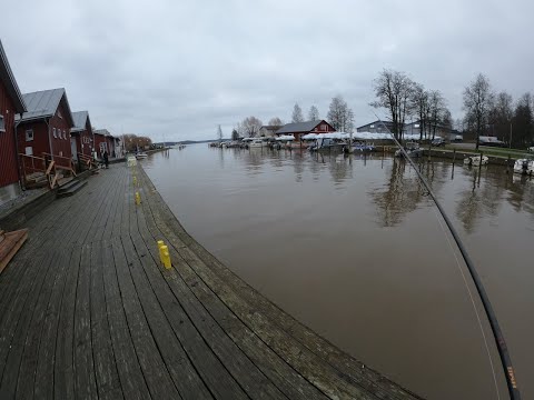 Видео: Шикарое место для рыбалки, щука, судак, окунь...