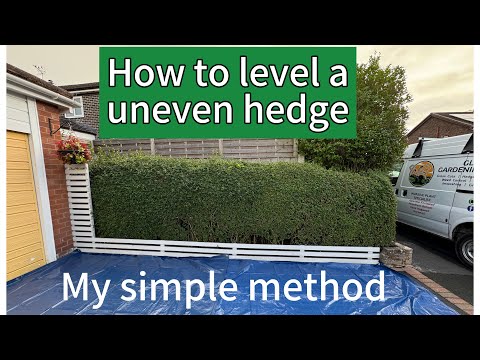 Видео: Как выровнять неровную живую изгородь | Советы по садоводству из Великобритании