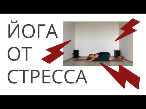 Видео: Йога от стресса. Мягкая практика