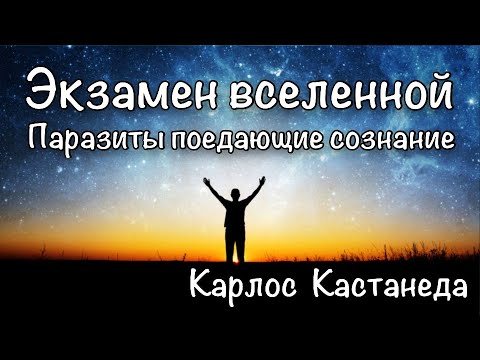 Видео: Энергетические паразиты человека. Существа поедающие осознание. Карлос Кастанеда.