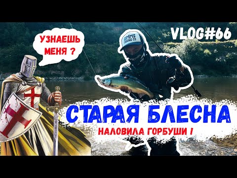 Видео: ЛОВИМ ЛОСОСЬ | Клюет на каждом забросе !