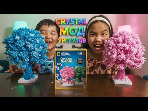 Видео: Шинэ Туршилт: 6 Цагийн Дотор CRYSTAL Мод Ургуулав 🧪💎🌳 🌈