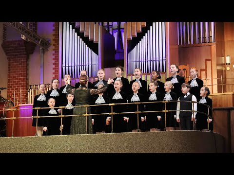 Видео: Ф. Шуберт - "Баркарола" (перевод А. Плещеева, обработка В. Попова)