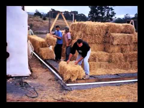 Видео: Пермакультура с курицами