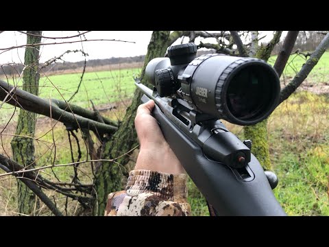 Видео: Свежие следы ВОЛКА. Добыли 3 лисы. Случай на охоте...