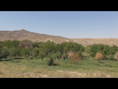 Видео: Туркменистан.Turkmenistan. Балканский велаят. Кяриз.