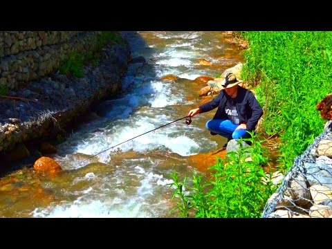 Видео: РЫБАЛКА В ГОРНОЙ РЕЧКЕ НА ДОНКУ. Оторвался по полной! River solo fishing.