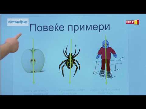 Видео: II одделение - Математика: Наоѓа симетрија кај 2Д форми и ја црта линијата на симетрија