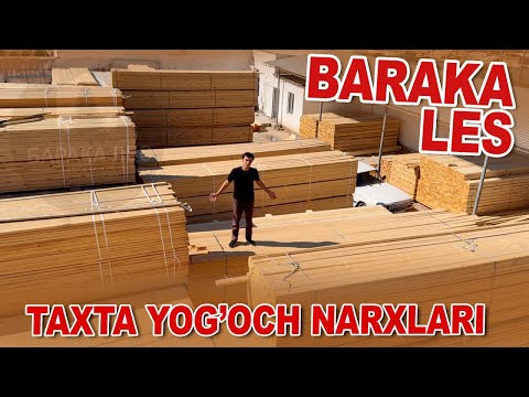 Видео: ТАХТА ва ЁҒОЧ ОПТОМ НАРХДА 🔥 БИРИНЧИ ҚУЛ 🔥 ХОРАЗМ