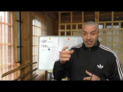 Видео: Первая Лекция о Программе Познания ЦИ